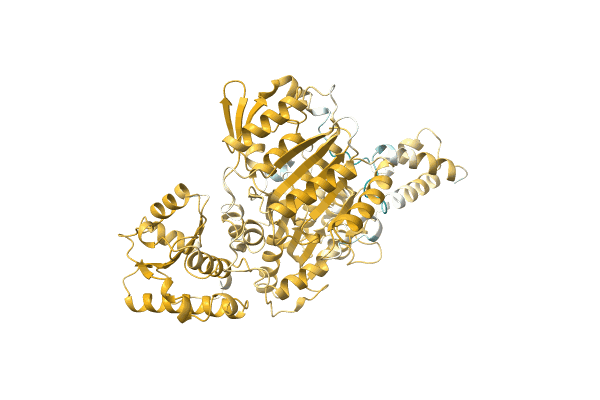 AF-A0A6C7ASM3-F1 image