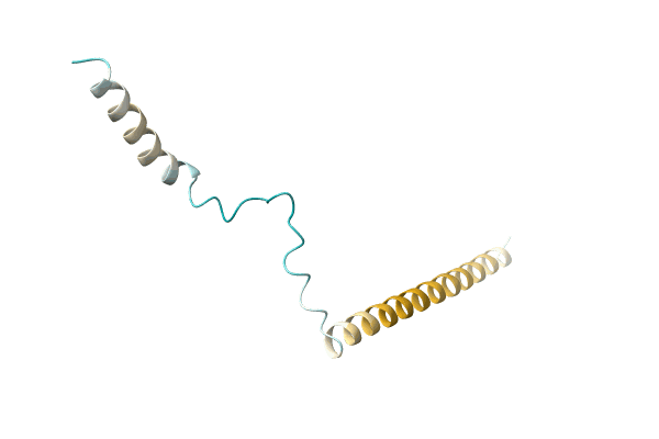 AF-A0A6C7AW81-F1 image