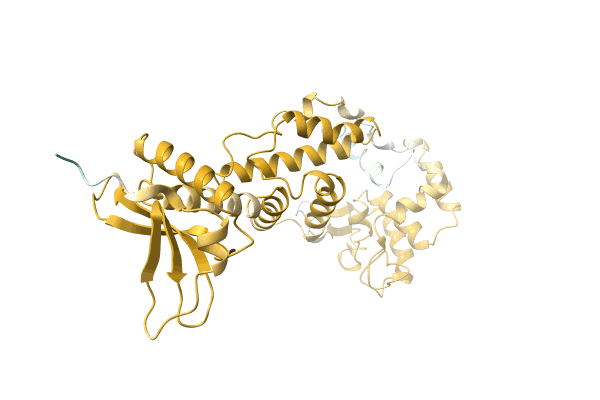 AF-A0A6C7AWP8-F1 image