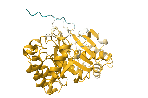 AF-A0A6C7E7W6-F1 image