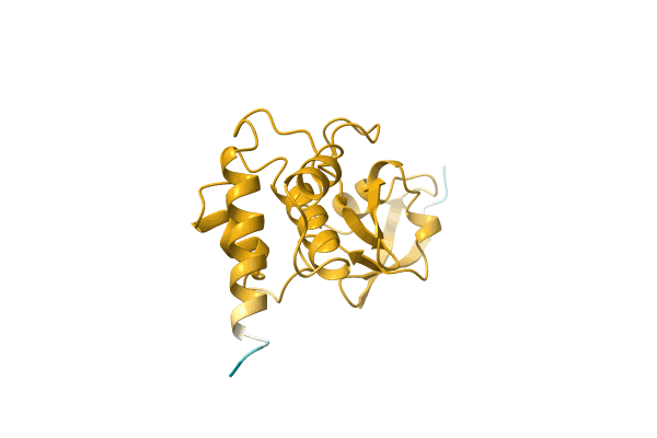 AF-A0A6C7E7Z1-F1 image