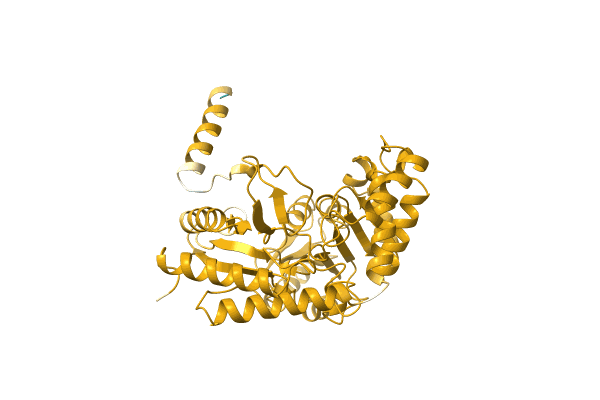 AF-A0A6C8XUY1-F1 image