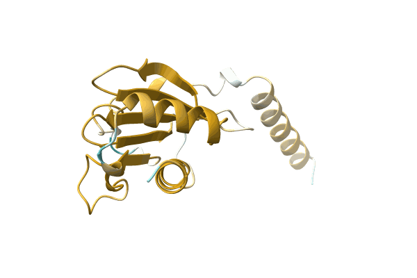 AF-A0A6F8T992-F1 image