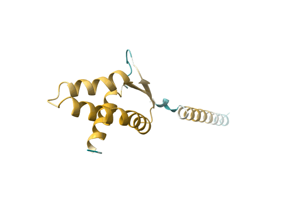 AF-A0A6F8T999-F1 image