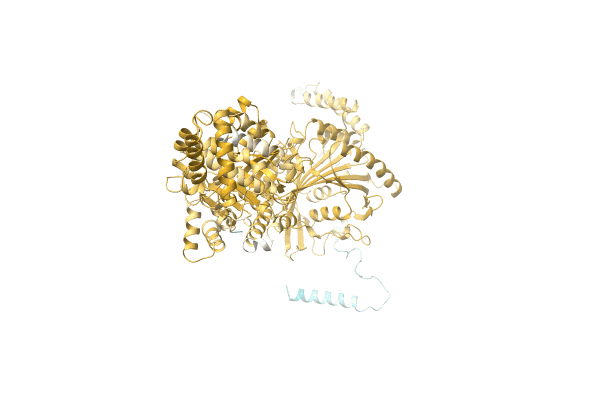 AF-A0A6F8T9B7-F1 image