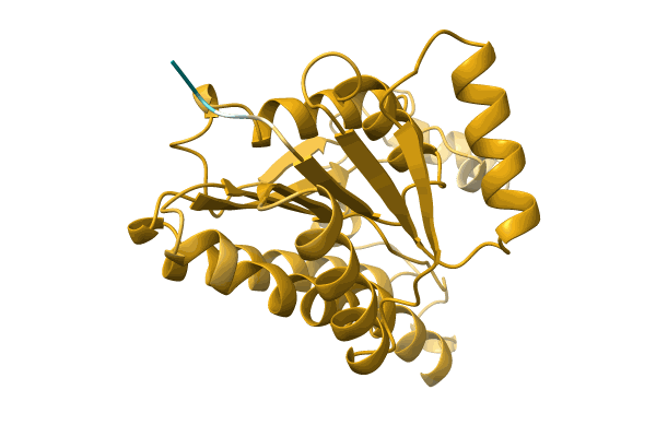 AF-A0A6F8T9C2-F1 image