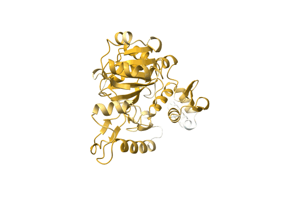 AF-A0A6F8T9E2-F1 image