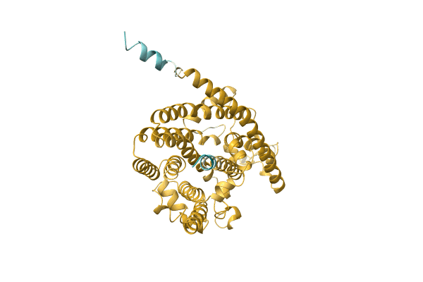 AF-A0A6G1ISN3-F1 image