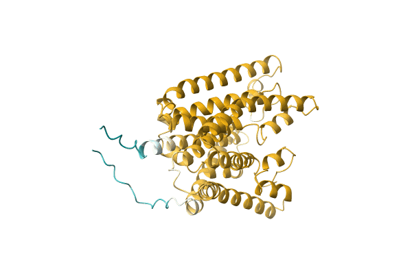 AF-A0A6G4WEB6-F1 image