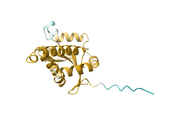 AF-A0A6G4WMD7-F1 image