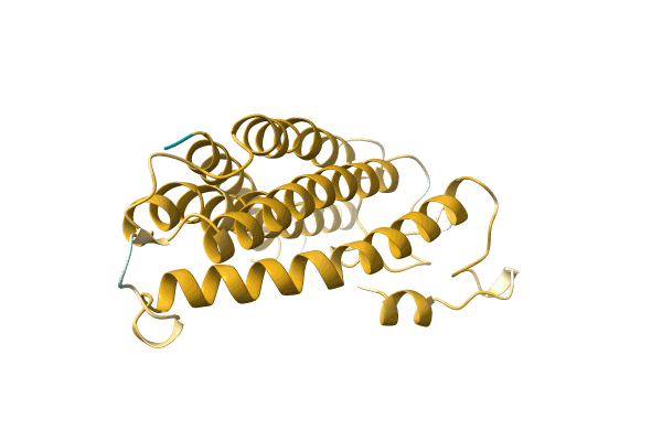 AF-A0A6G6CG99-F1 image