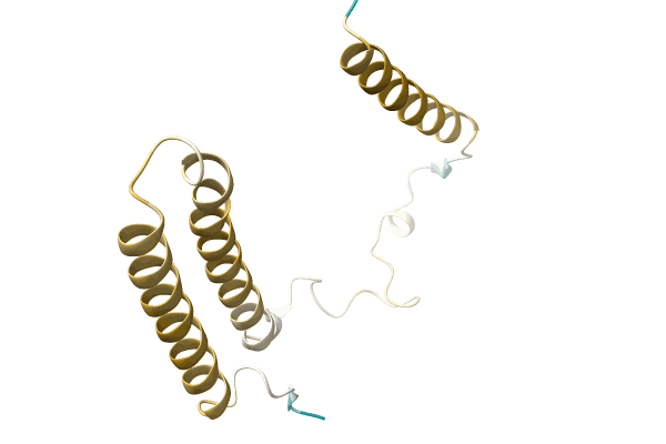 AF-A0A6G6D7W6-F1 image