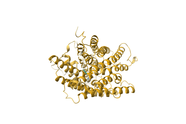 AF-A0A6G6D7Y8-F1 image