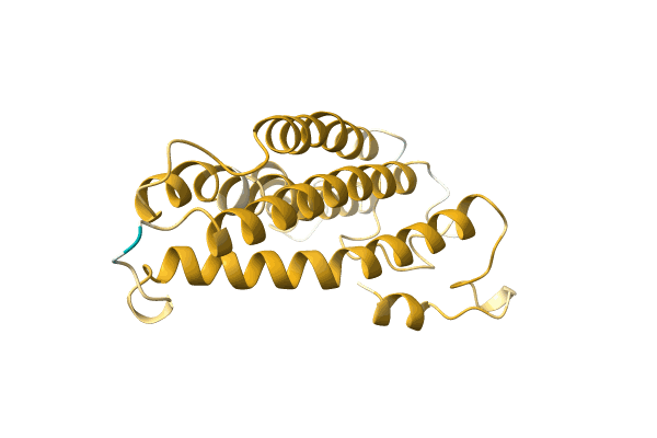 AF-A0A6G6XDS3-F1 image