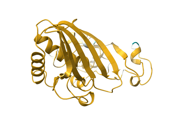 AF-A0A6G7NQY9-F1 image