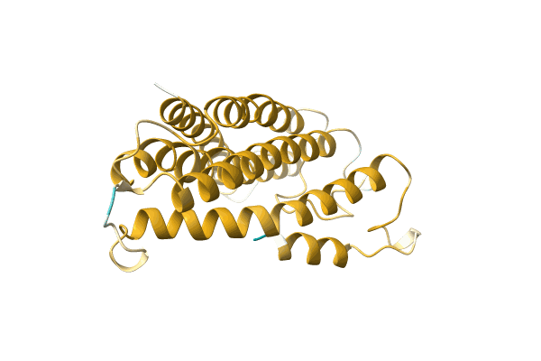 AF-A0A6G7PRN3-F1 image