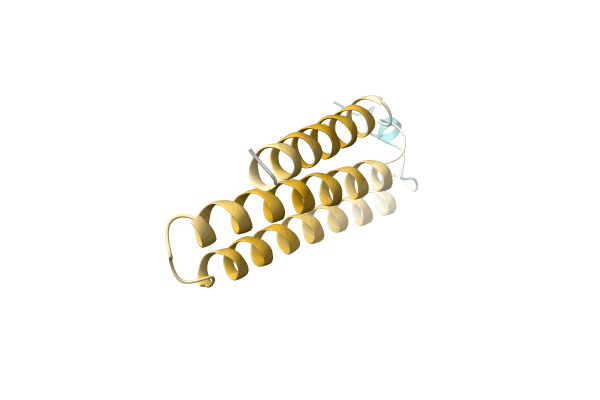 AF-A0A6G8QRZ1-F1 image