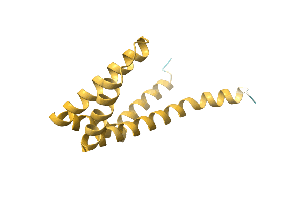 AF-A0A6G9J376-F1 image