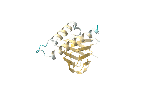 AF-A0A6G9JQQ0-F1 image