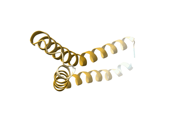 AF-A0A6G9JQV6-F1 image