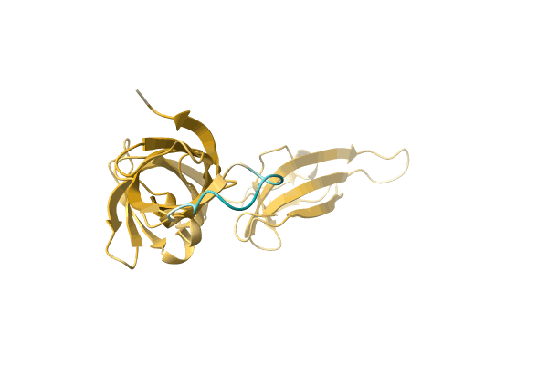 AF-A0A6G9JQW8-F1 image