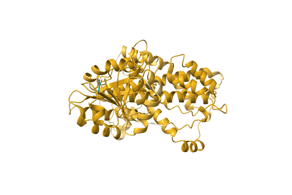 AF-A0A6G9JR04-F1 image