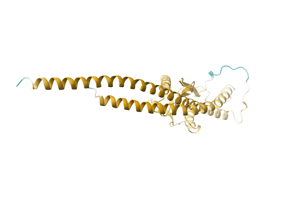 AF-A0A6G9JSF6-F1 image