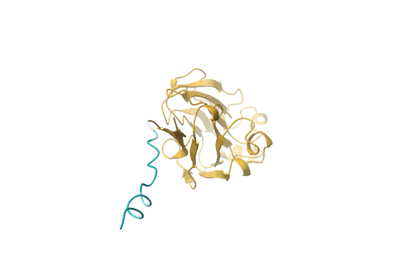 AF-A0A6G9JSI0-F1 image