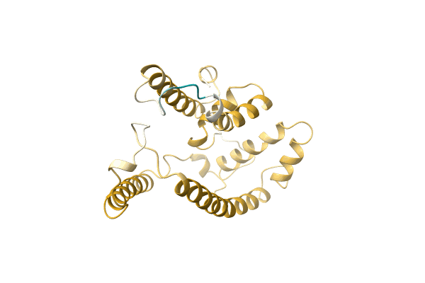 AF-A0A6G9LWI4-F1 image