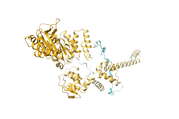 AF-A0A6H2D0Q4-F1 image