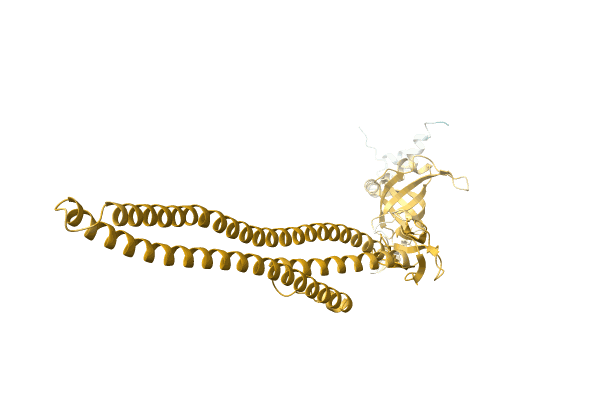 AF-A0A6H2D0R5-F1 image