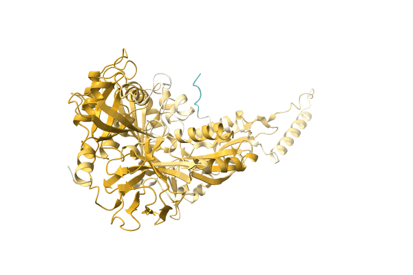 AF-A0A6I4DNS9-F1 image