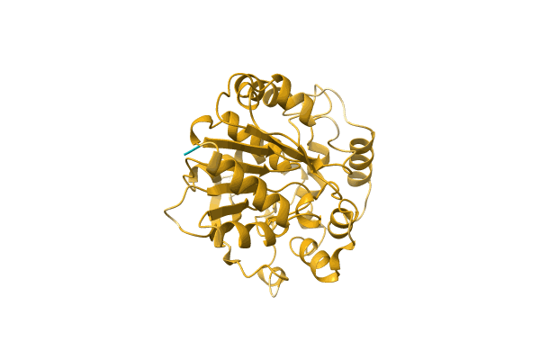 AF-A0A6I6MNA4-F1 image