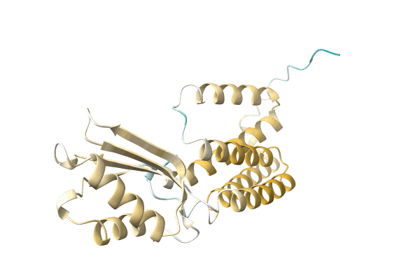 AF-A0A6I6MNE8-F1 image