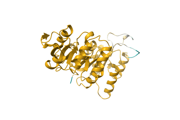 AF-A0A6I6MNK1-F1 image