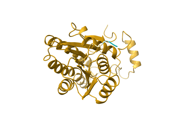 AF-A0A6I6MZE6-F1 image