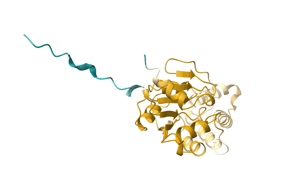 AF-A0A6I6MZG7-F1 image