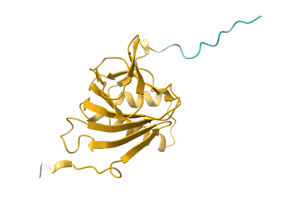 AF-A0A6I6N9Z5-F1 image