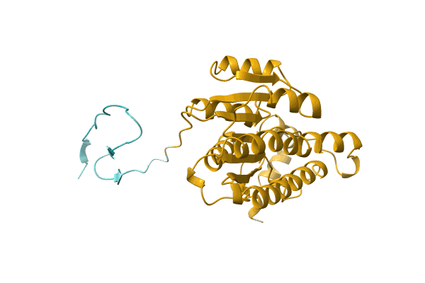 AF-A0A6J3JSU6-F1 image