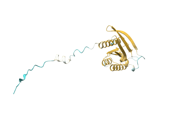 AF-A0A6J3JT06-F1 image