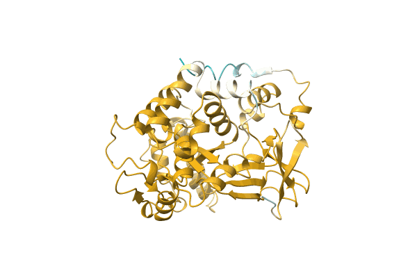 AF-A0A6J3JT13-F1 image