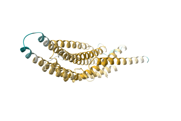 AF-A0A6J3JZM4-F1 image