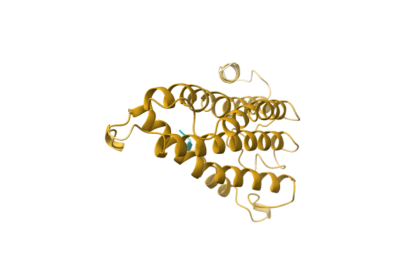 AF-A0A6J3XE00-F1 image