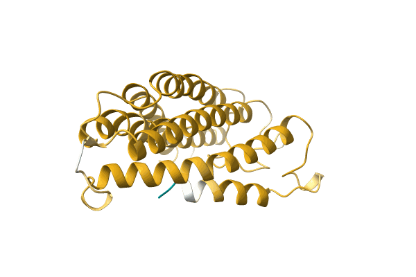 AF-A0A6J3XE83-F1 image