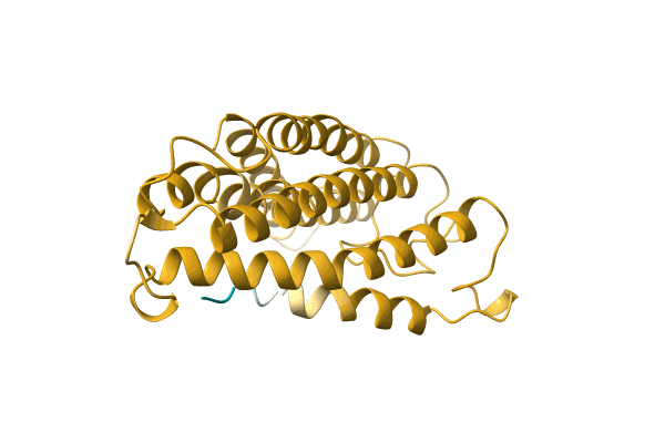 AF-A0A6J3XEF3-F1 image