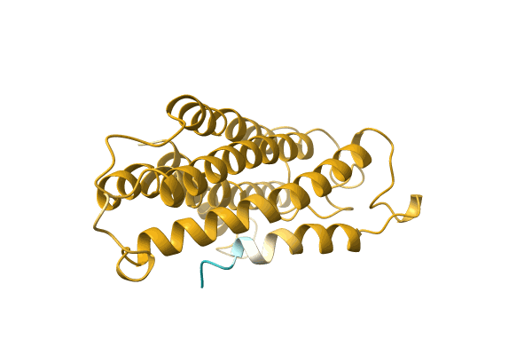 AF-A0A6J3XF98-F1 image