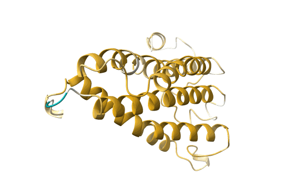 AF-A0A6J3XH11-F1 image