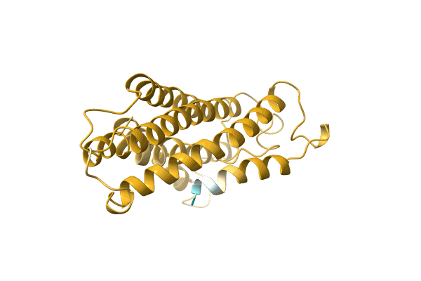 AF-A0A6J3XHJ3-F1 image