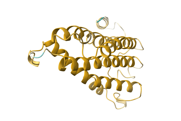 AF-A0A6J3XJW4-F1 image