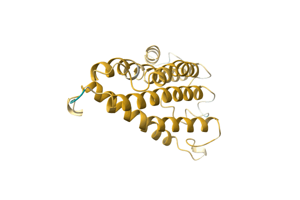 AF-A0A6J3XMG5-F1 image